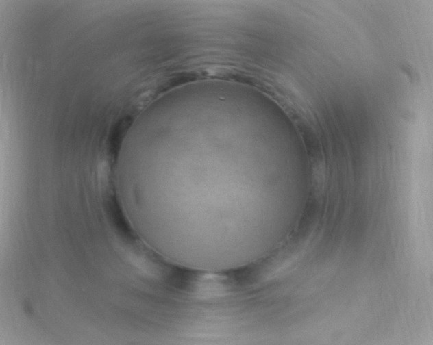 X0000115590222200911241540