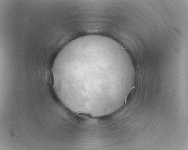 X0000115590227200911241540