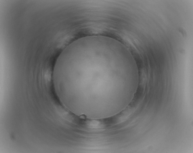 X0000115590230200911241540