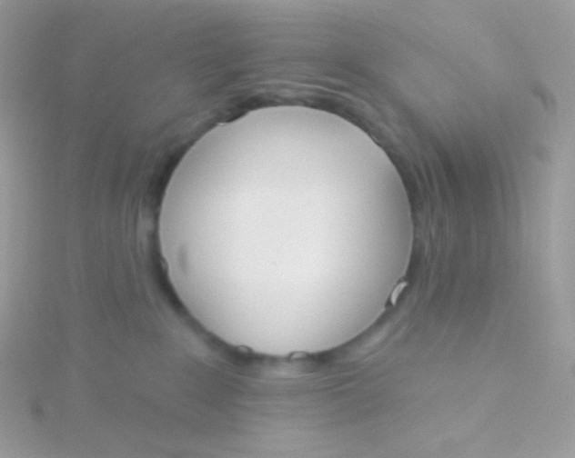 X0000115590235200911241540