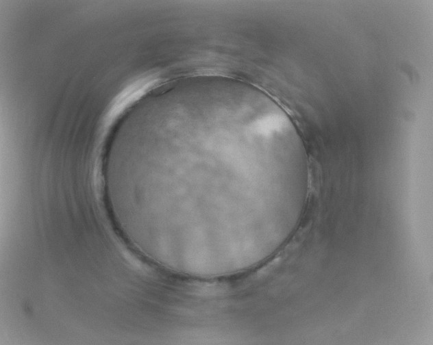 X0000115590245200911241539
