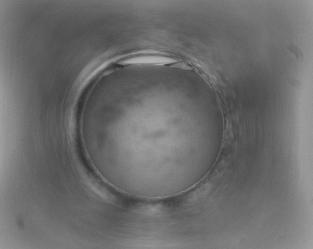 X0000115590247200911241539