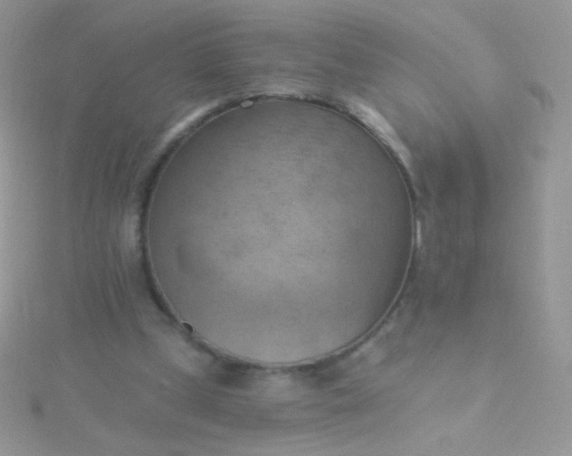 X0000115590249200911241539