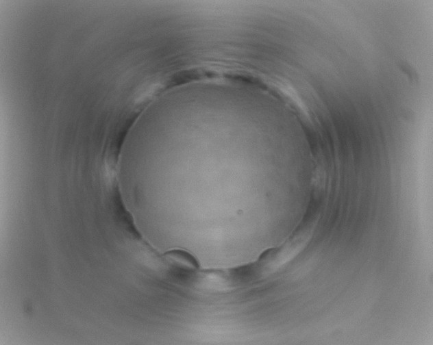 X0000115590285200911241540