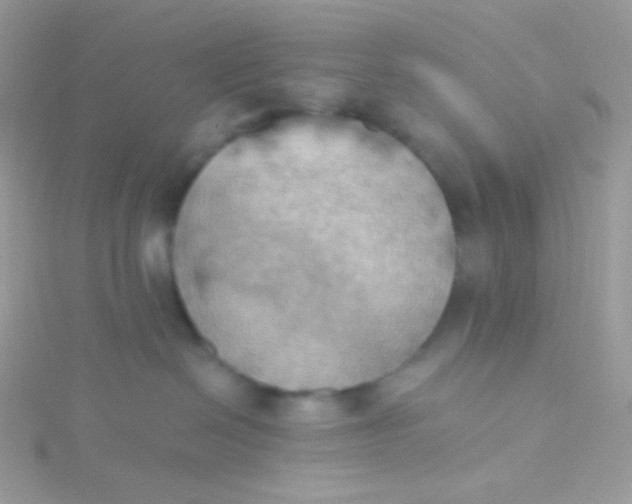 X0000115590286200911241540