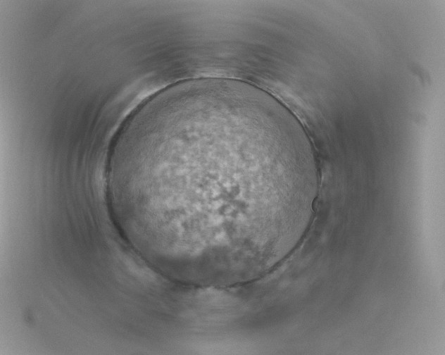 X0000115590290200911241539