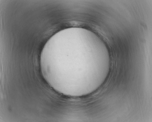 X0000115590317200911241539