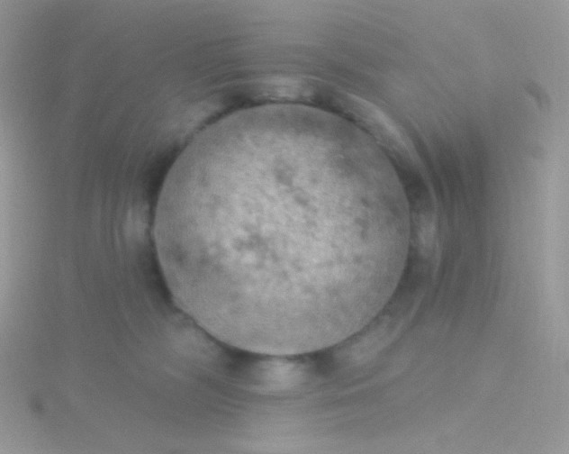 X0000115590326200911241539