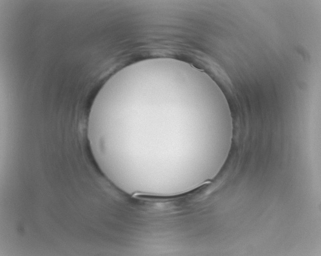 X0000115590329200911241539