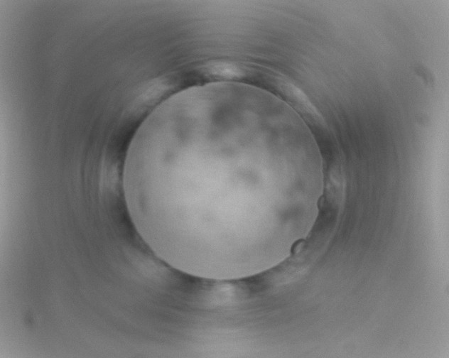 X0000115590330200911241539