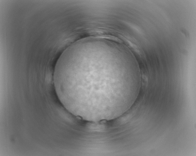 X0000115590331200911241539