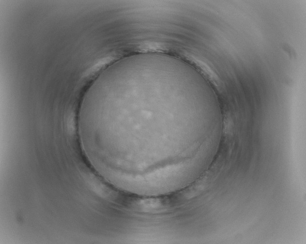 X0000115590353200911241538