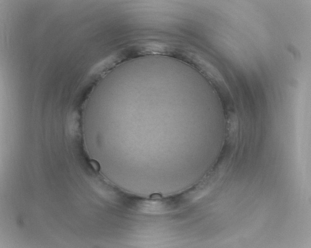 X0000115590361200911241538