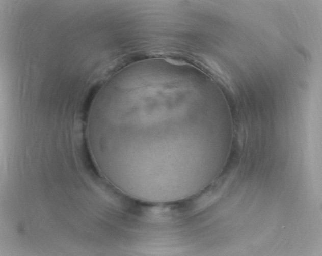 X0000115590366200911241538