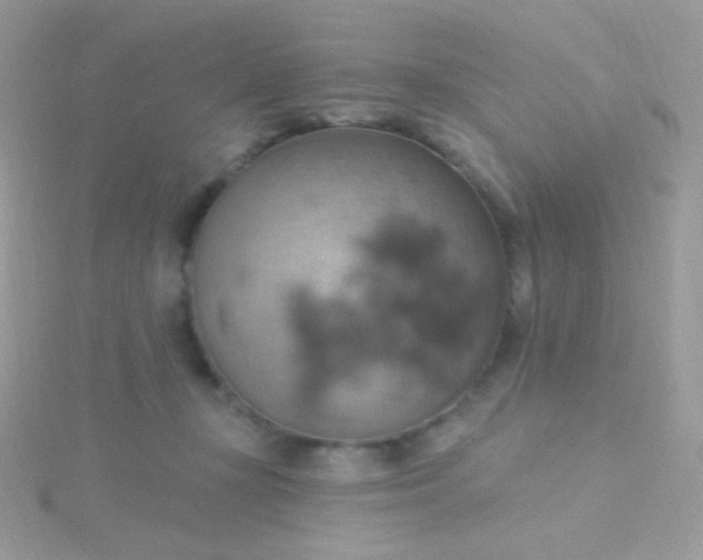 X0000115590367200911241538