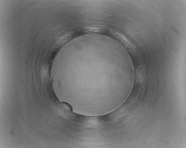 X0000115590377200911241538