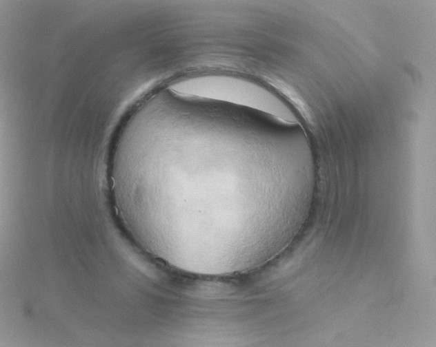 X0000115590399200911241538
