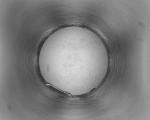 X0000115590403200911241537