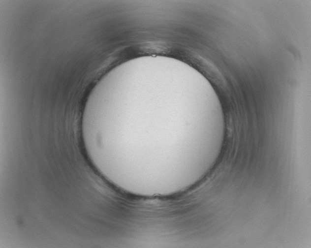 X0000115590409200911241537