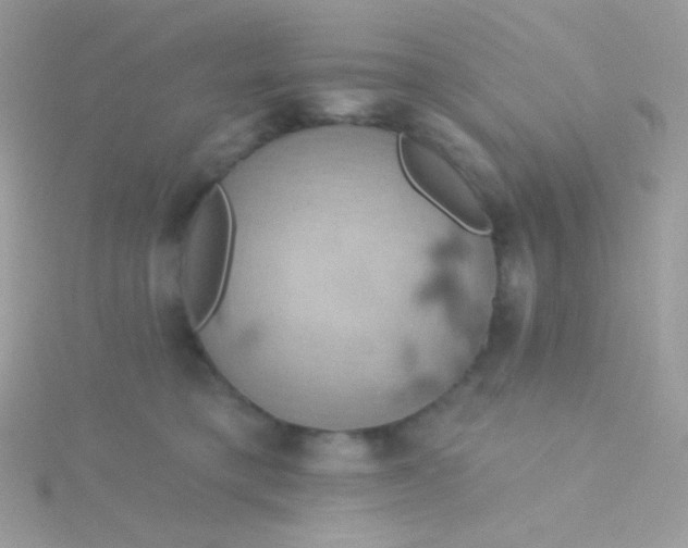 X0000115590421200911241537