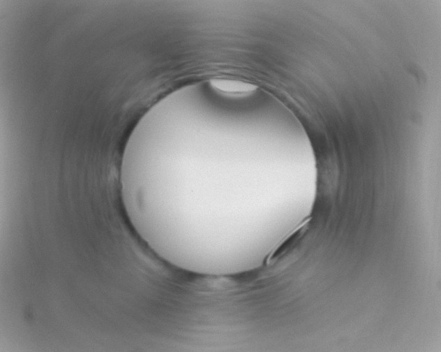 X0000115590427200911241537