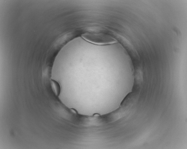 X0000115590428200911241537