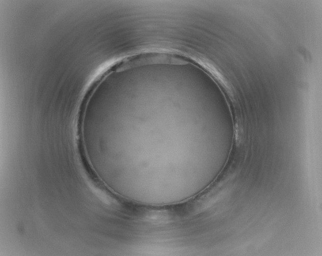 X0000115590438200911241536