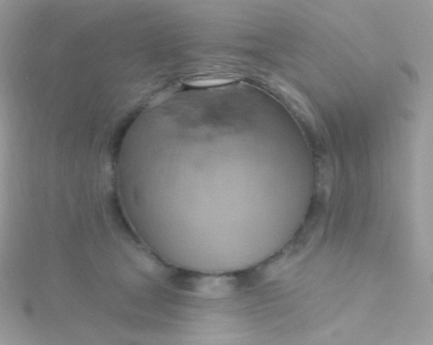 X0000115590465200911241537