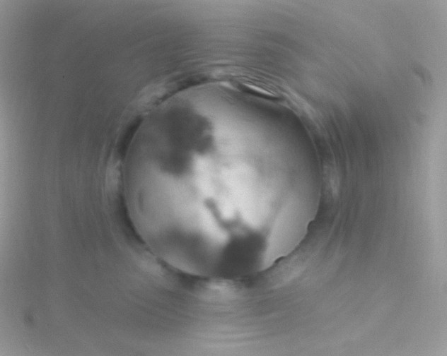 X0000115590475200911241537