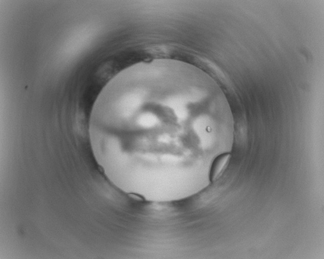 X0000115590477200911241537