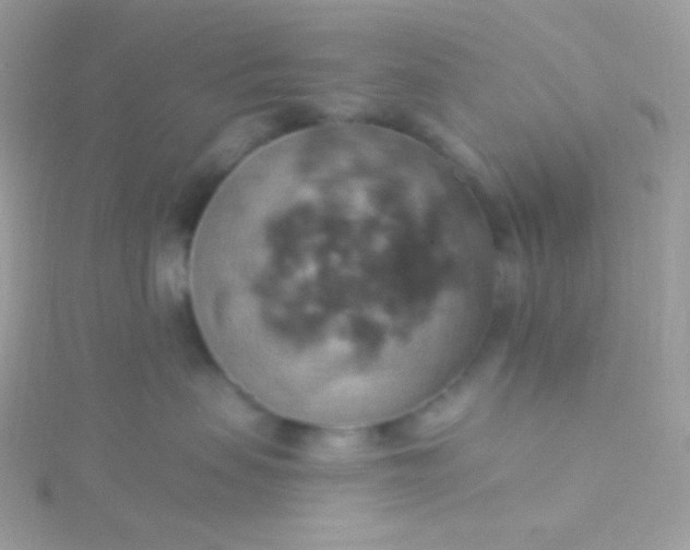 X0000115590479200911241537