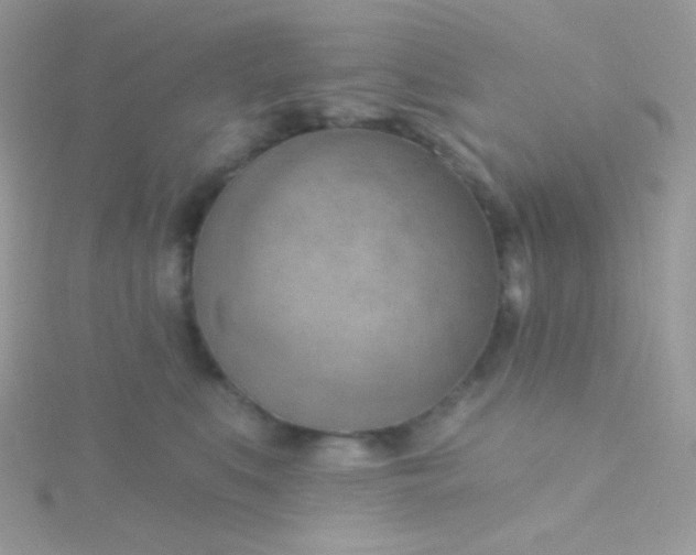 X0000115590519200911241536