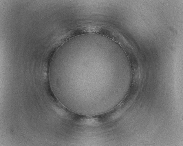 X0000115590553200911241535