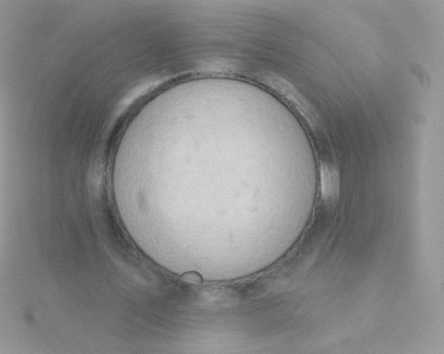 X0000115590579200911241535
