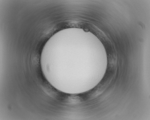 X0000115590603200911241535