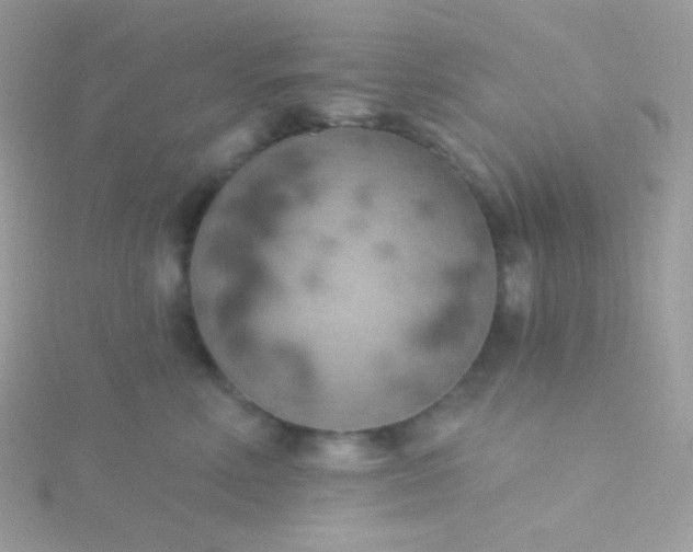 X0000115590618200911241535