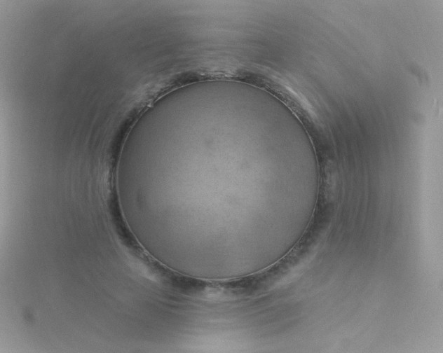 X0000115590641200911241534