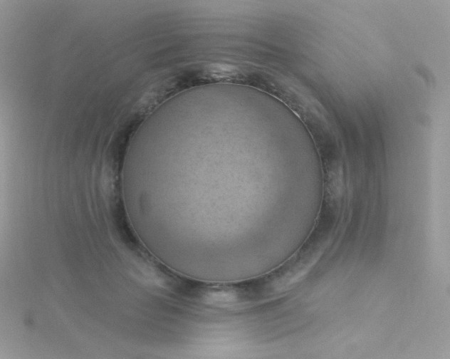 X0000115590653200911241534
