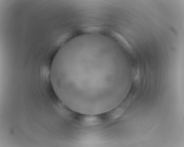 X0000115590669200911241534