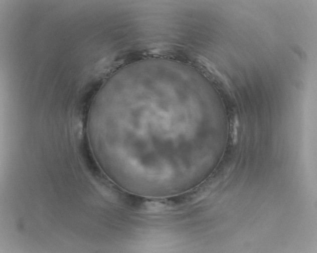 X0000115590703200911241533