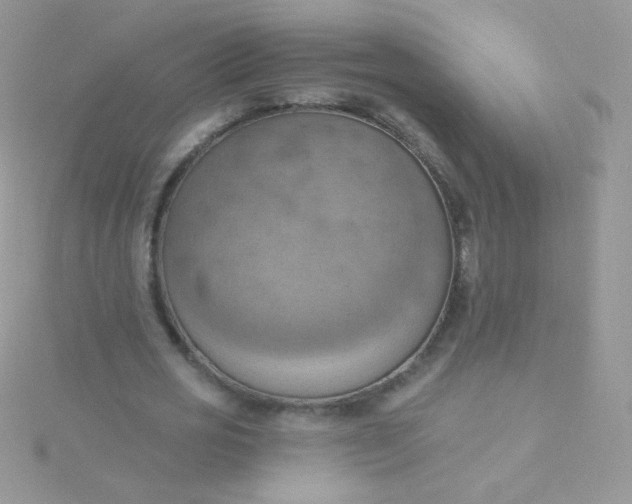 X0000115590725200911241533