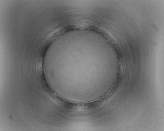 X0000115590745200911241533