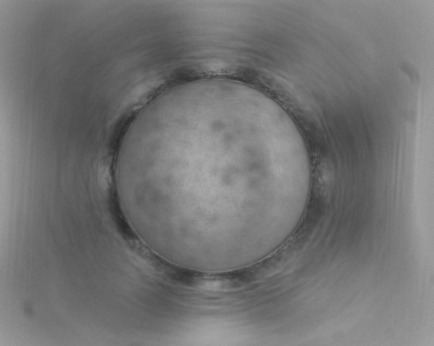 X0000115590746200911241533