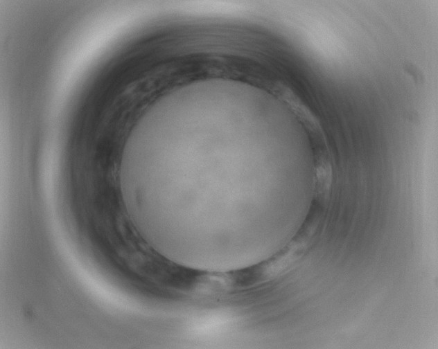 X0000115590765200911241533