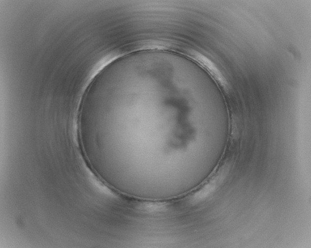 X0000115590802200911241532