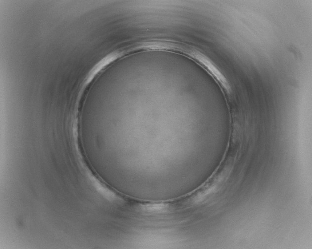 X0000115590853200911241532