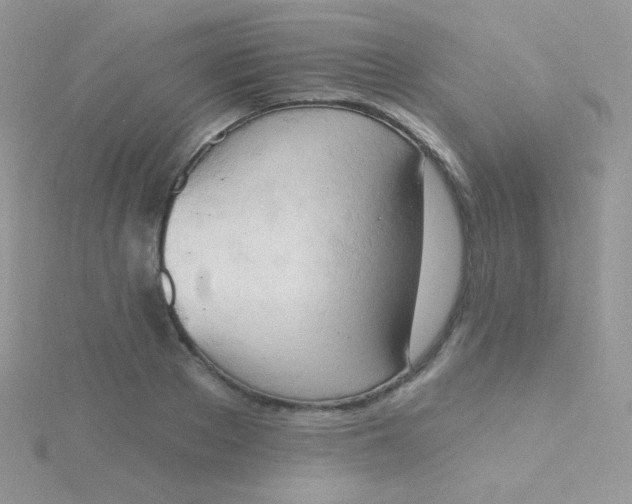 X0000115590889200911241531