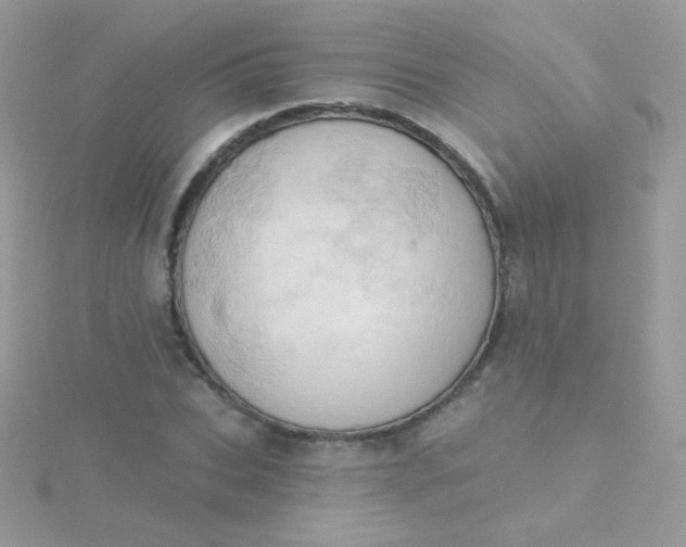 X0000115590927200911241530