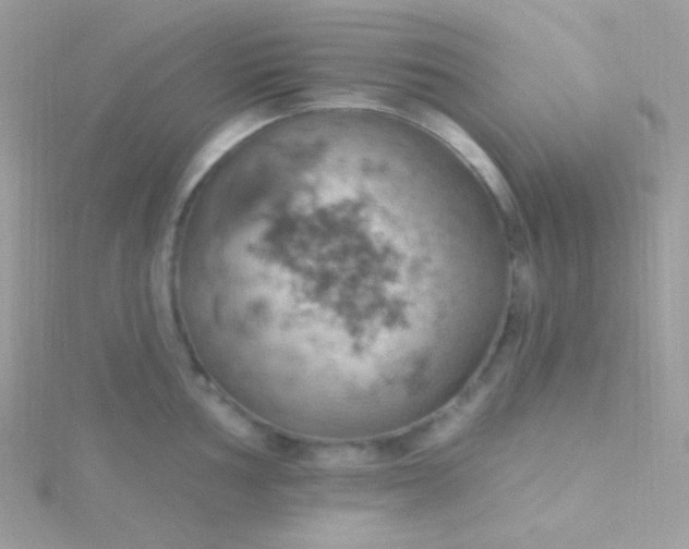 X0000115591002200911241529