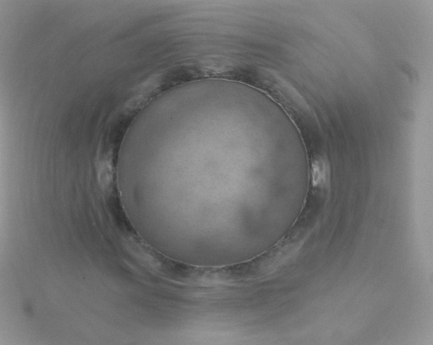 X0000115591011200911241529